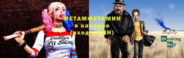 сатива Волоколамск