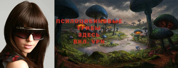 jwh Бородино