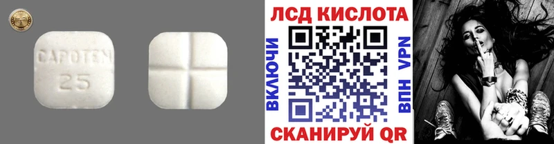 ЛСД экстази ecstasy  дарнет шоп  Жуков 