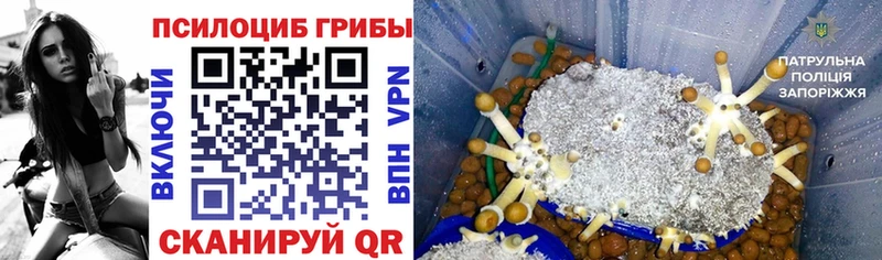 как найти   сайты даркнета телеграм  Псилоцибиновые грибы MAGIC MUSHROOMS  Жуков 