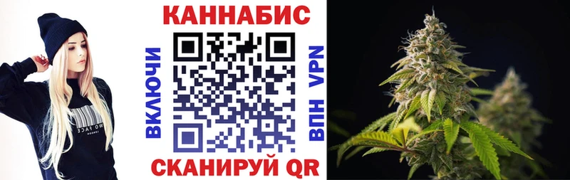 Бошки марихуана марихуана  Жуков 